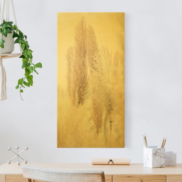Canvas print gold - Pampas Grass In White Light