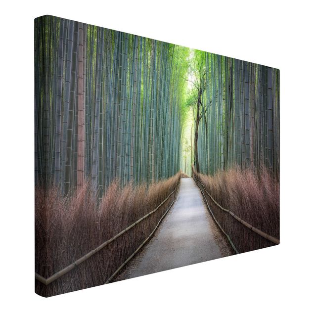 Print on canvas - The Path Through The Bamboo