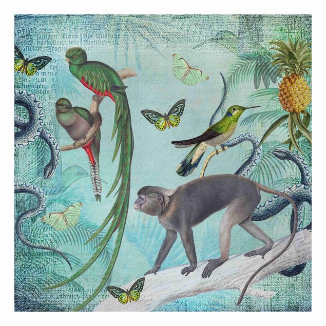 Print on canvas - Colonial Style Collage - Monkeys And Birds Of Paradise