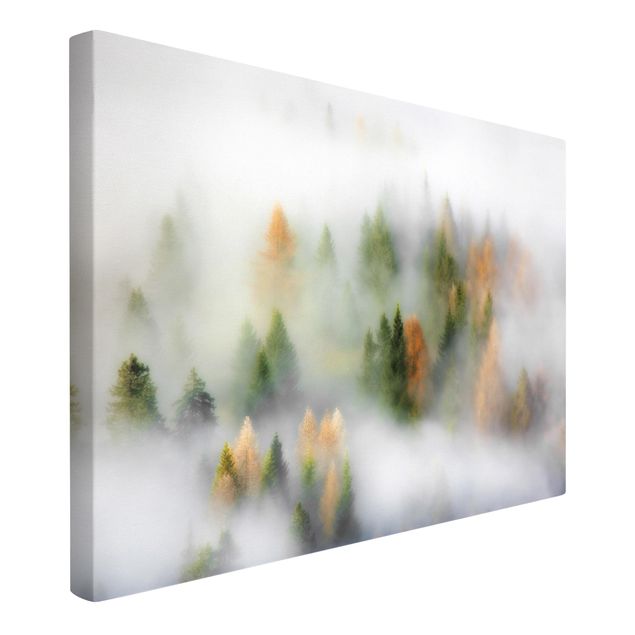 Print on canvas - Cloud Forest In Autumn