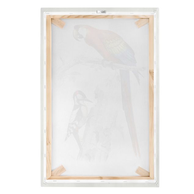 Print on canvas - Vintage Board Parrot Red Blue