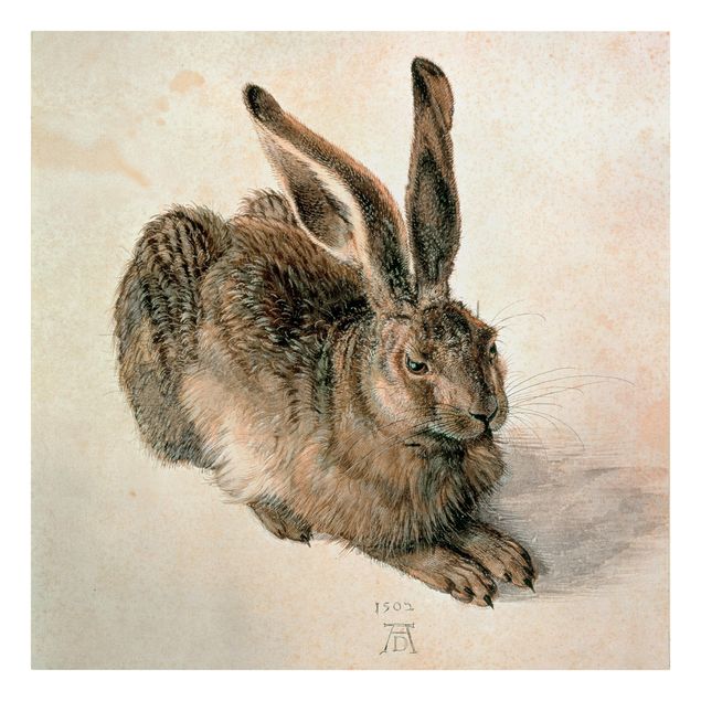 Canvas print - Albrecht Dürer - Young Hare