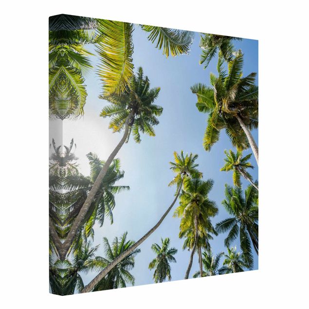 Print on canvas - Palm Tree Canopy