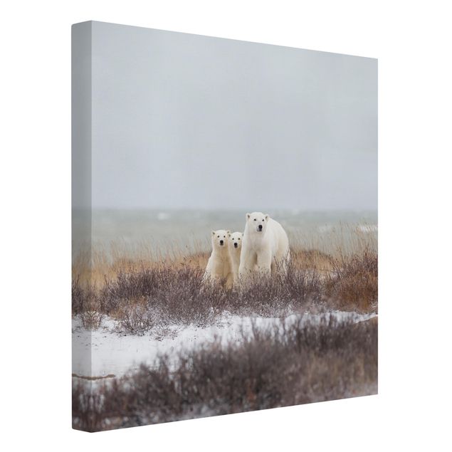 Print on canvas - Polar Bear And Her Cubs