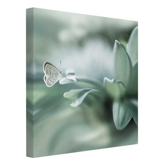 Print on canvas - Butterfly And Dew Drops In Pastel Green