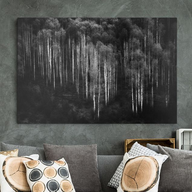Print on canvas - Birch Forest In Aspen