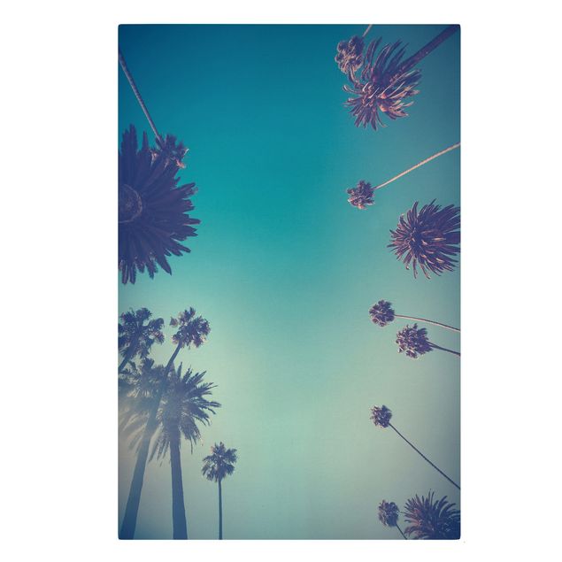 Print on canvas - Tropical Plants Palm Trees And Sky II