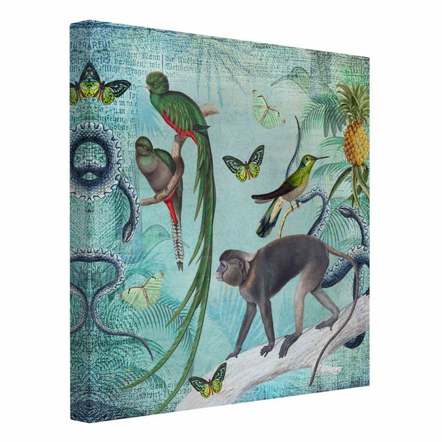 Print on canvas - Colonial Style Collage - Monkeys And Birds Of Paradise