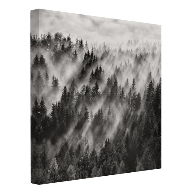 Print on canvas - Light Rays In The Coniferous Forest