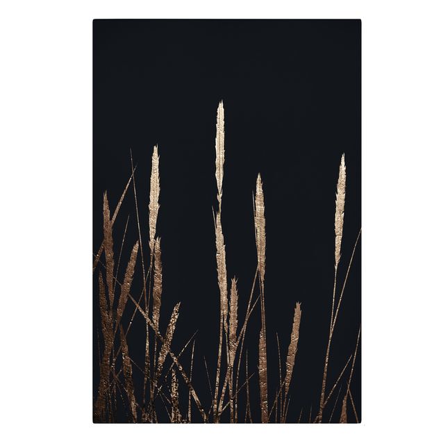 Print on canvas - Graphical Plant World - Golden Reed