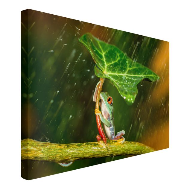 Print on canvas - Frog In The Rain