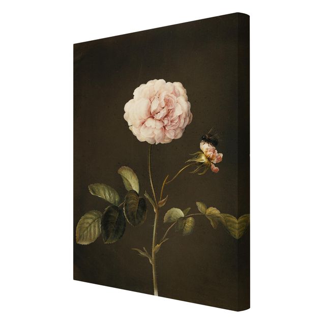 Canvas print - Barbara Regina Dietzsch - French Rose With Bumblbee