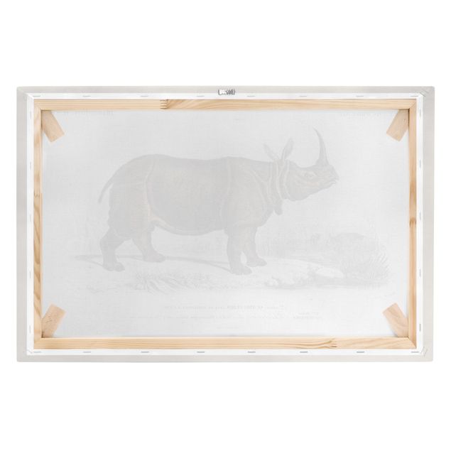 Print on canvas - Vintage Board Rhino