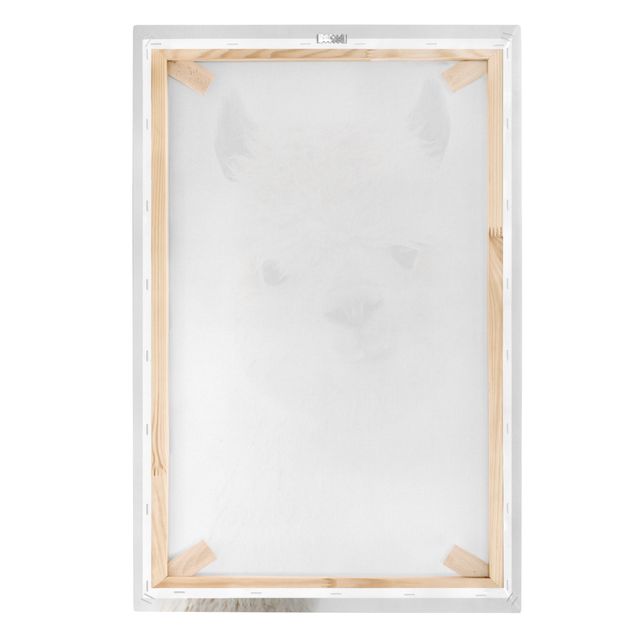 Canvas print - Alpaca Portrait