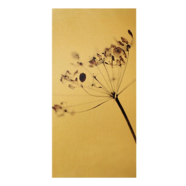 Canvas print gold - Macro Image Dried Flowers In Shadow