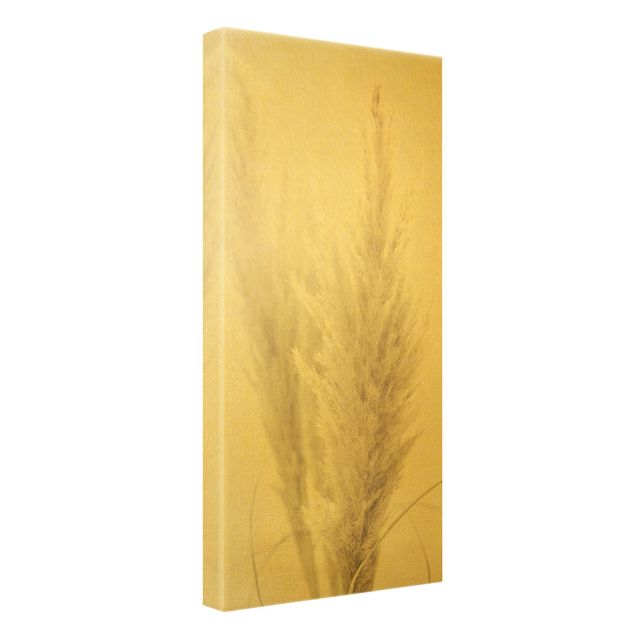 Canvas print gold - Soft Pampas Grass