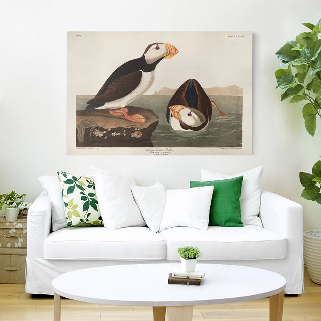Print on canvas - Vintage Board Puffin II