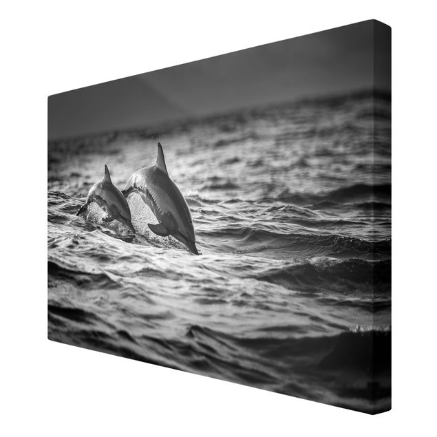 Print on canvas - Two Jumping Dolphins