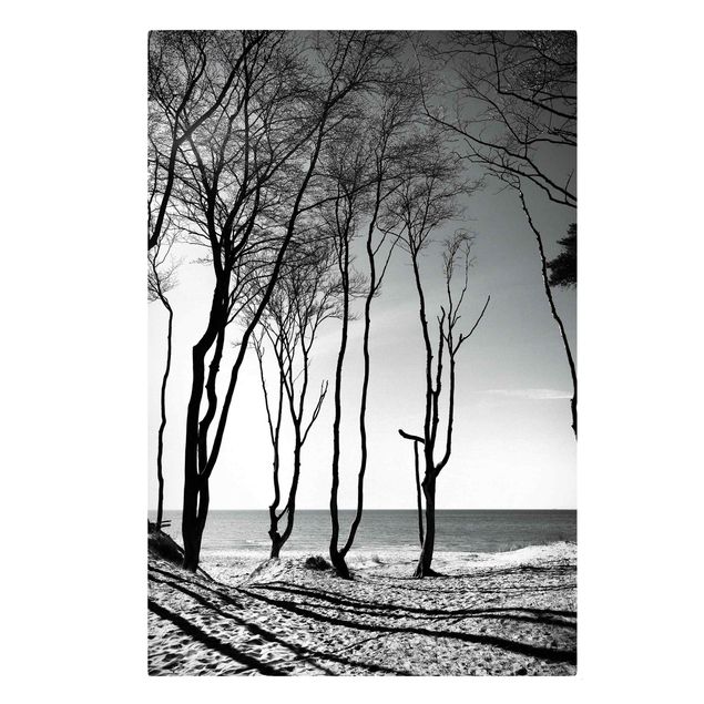 Canvas print - Trees At the Baltic Sea