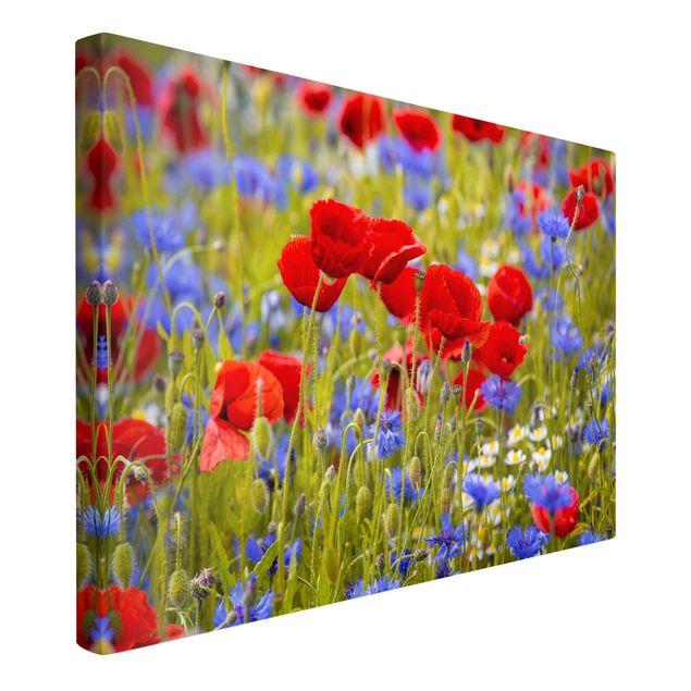 Print on canvas - Summer Meadow With Poppies And Cornflowers