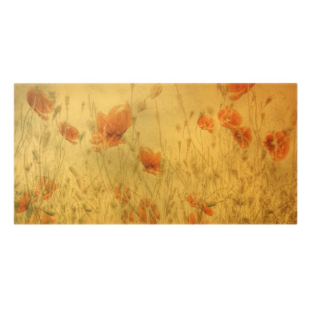 Canvas print gold - Poppy Flowers And Grasses In A Field