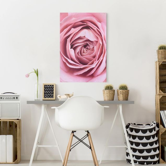Canvas print - Pink Rose Blossom