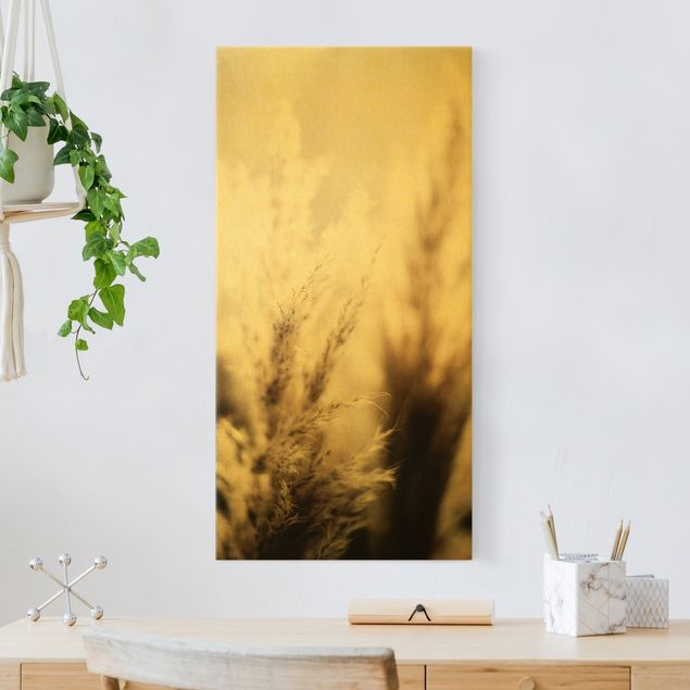 Canvas print gold - Pampas Grass In The Shadow