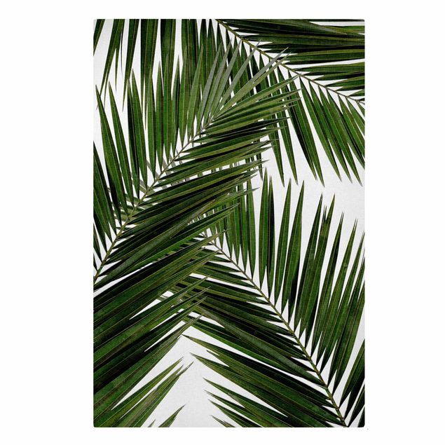 Canvas print - View Through Green Palm Leaves