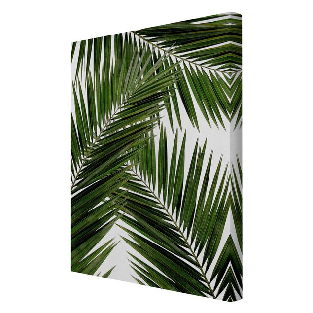 Canvas print - View Through Green Palm Leaves