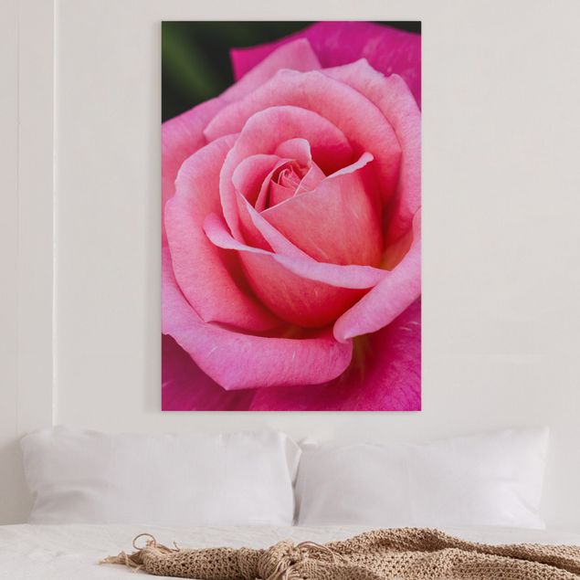 Print on canvas - Pink Rose Flowers Green Backdrop