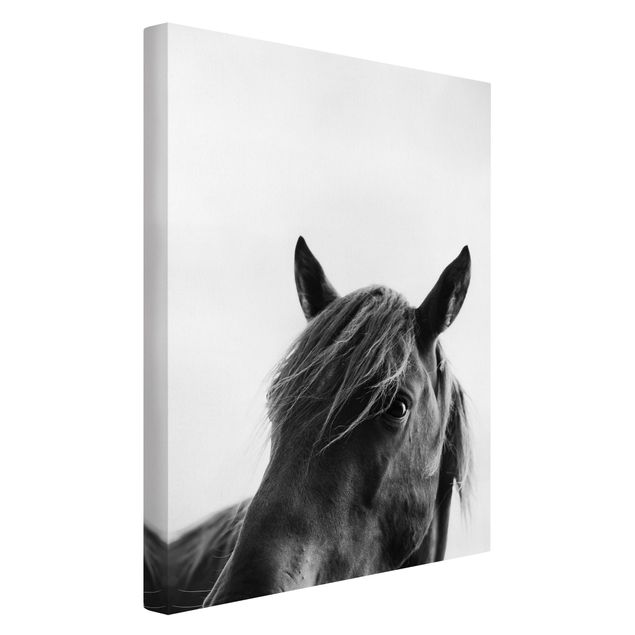 Print on canvas - Curious Horse