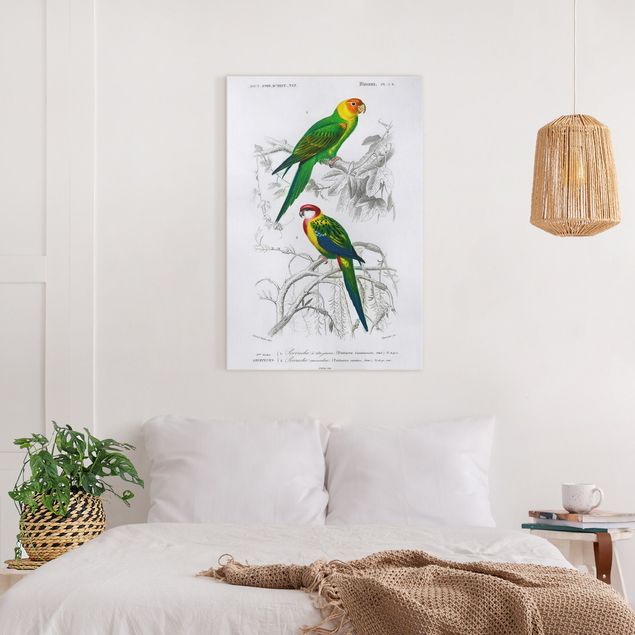 Print on canvas - Vintage Wall Chart Two Parrots Green Red