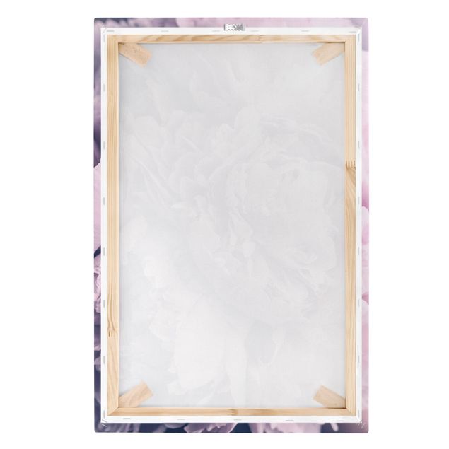 Canvas print - Purple Peony Blossoms