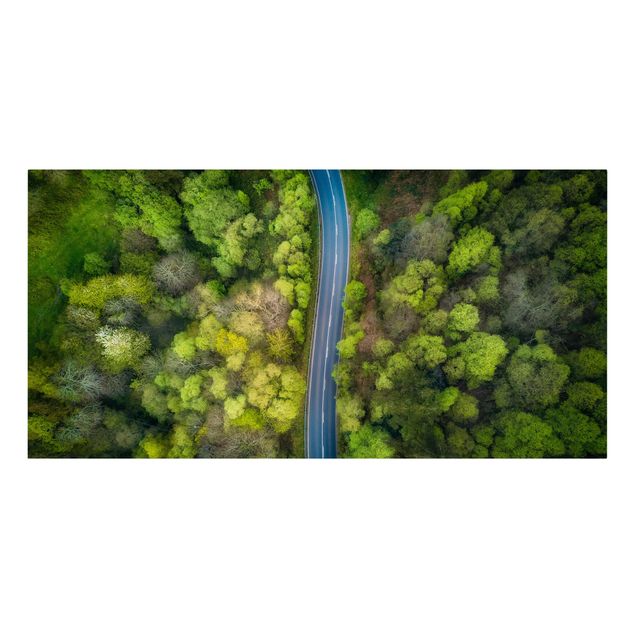 Print on canvas - Aerial View - Asphalt Road In The Forest