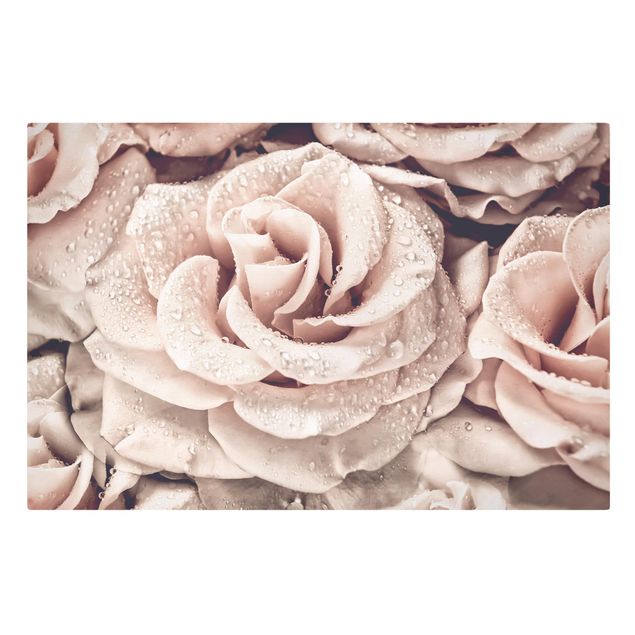 Canvas print - Roses Sepia With Water Drops