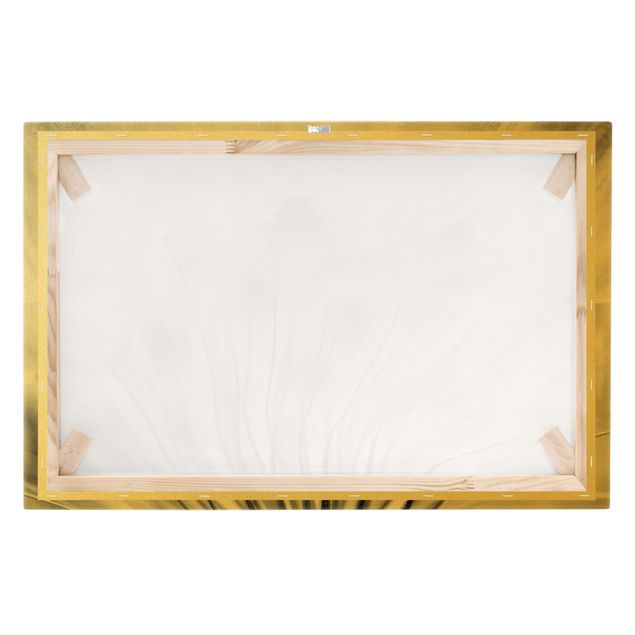 Canvas print gold - Beautiful Dandelion Black And White
