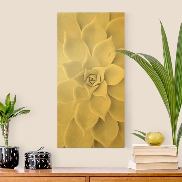 Canvas print gold - Cactus Succulent