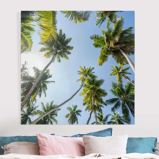 Print on canvas - Palm Tree Canopy