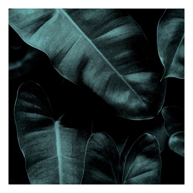 Print on canvas - Jungle Leaves Dark Green