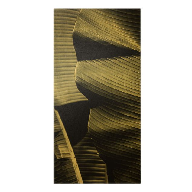 Canvas print gold - Close-Up Of Banana Leaf