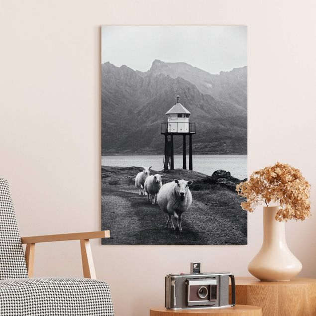 Canvas print - Three Sheep On the Lofoten