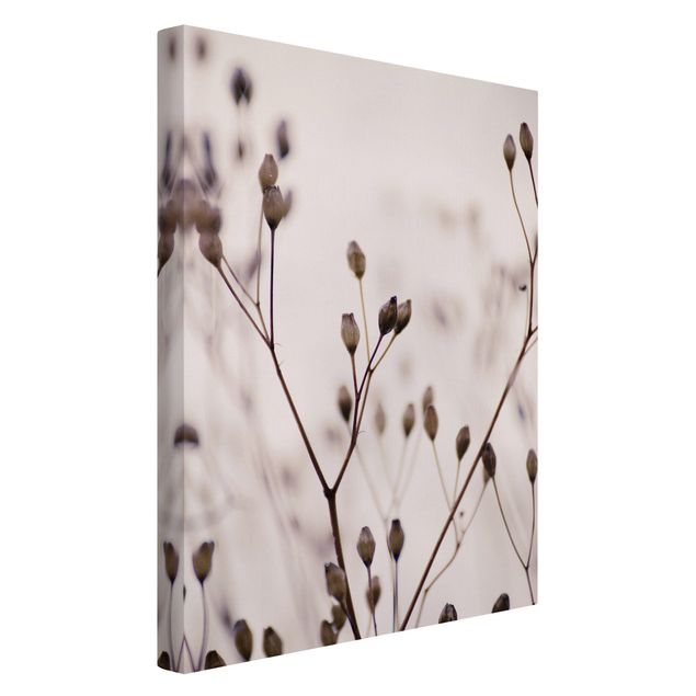 Canvas print - Dark Buds On Wild Flower Twig