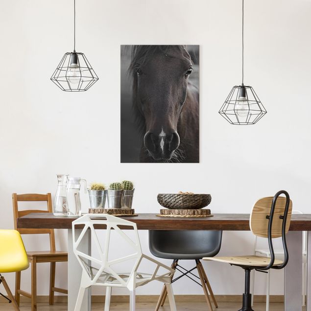 Canvas print - Dark Horse