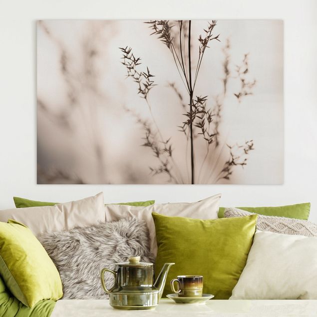 Canvas print - Elegant Grass In The Shadow