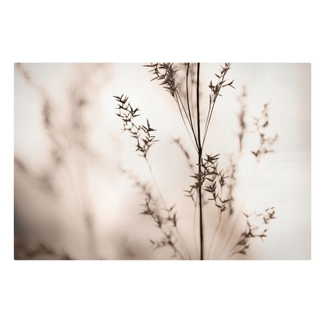 Canvas print - Elegant Grass In The Shadow
