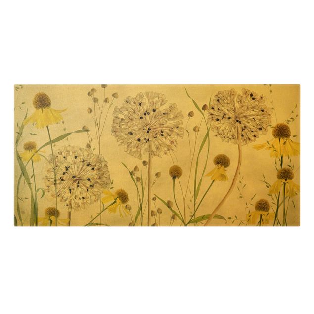 Canvas print gold - Allium And Helenium Illustration