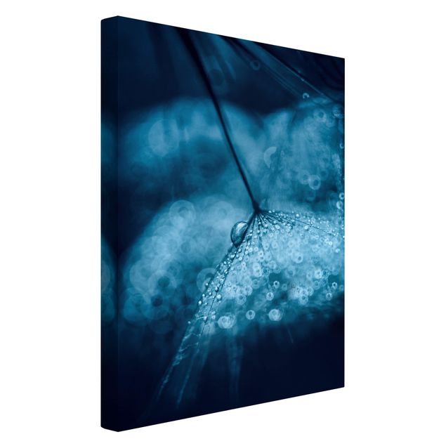 Print on canvas - Blue Dandelion In The Rain