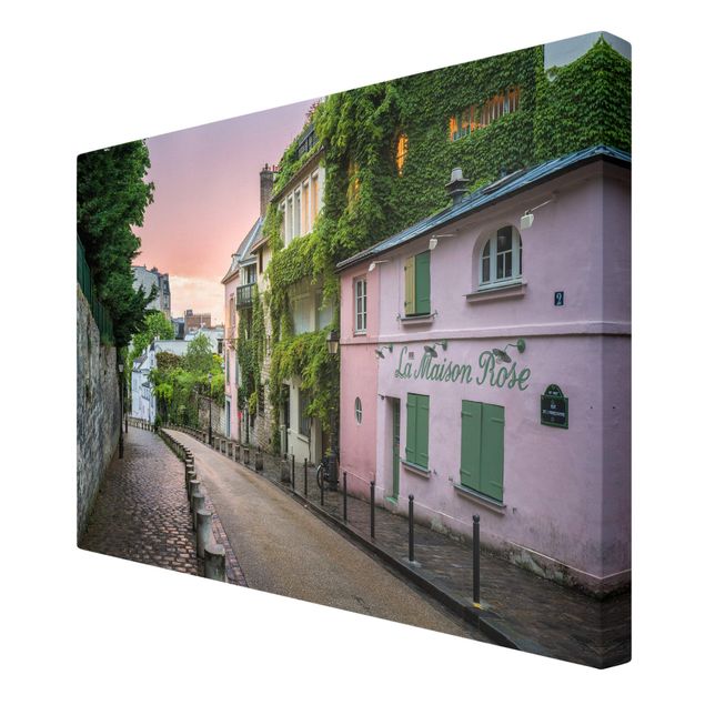 Print on canvas - Rose Coloured Twilight In Paris