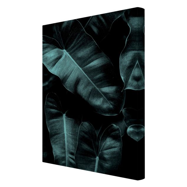 Print on canvas - Jungle Leaves Dark Green