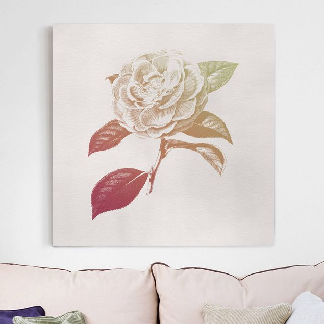 Print on canvas - Modern Vintage Botanik Rose Red Green